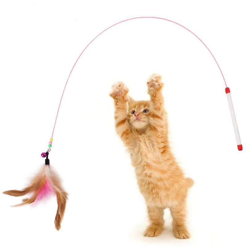 Interactive Cat Toys