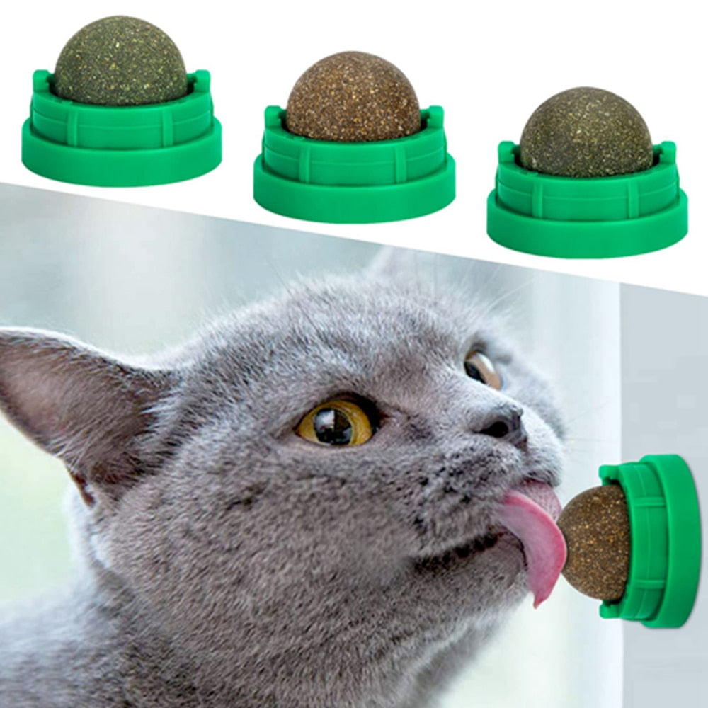 Catnip Ball Toys Edible Kitty Toys for Cats Lick Healthy
