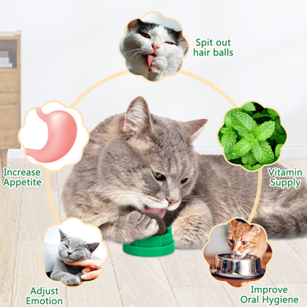 Catnip Ball Toys Edible Kitty Toys for Cats Lick Healthy