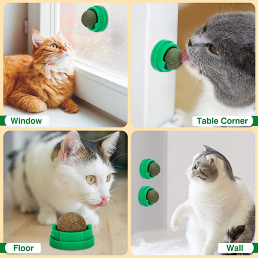 Catnip Ball Toys Edible Kitty Toys for Cats Lick Healthy