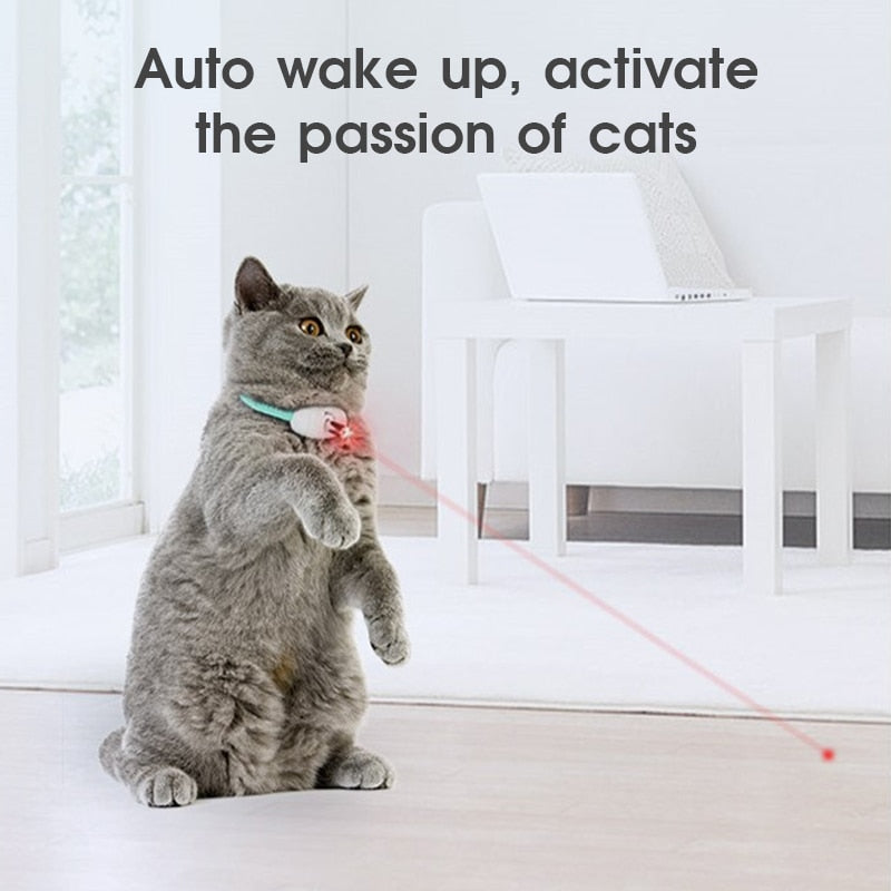 Cat Collar with a Built-in Laser!