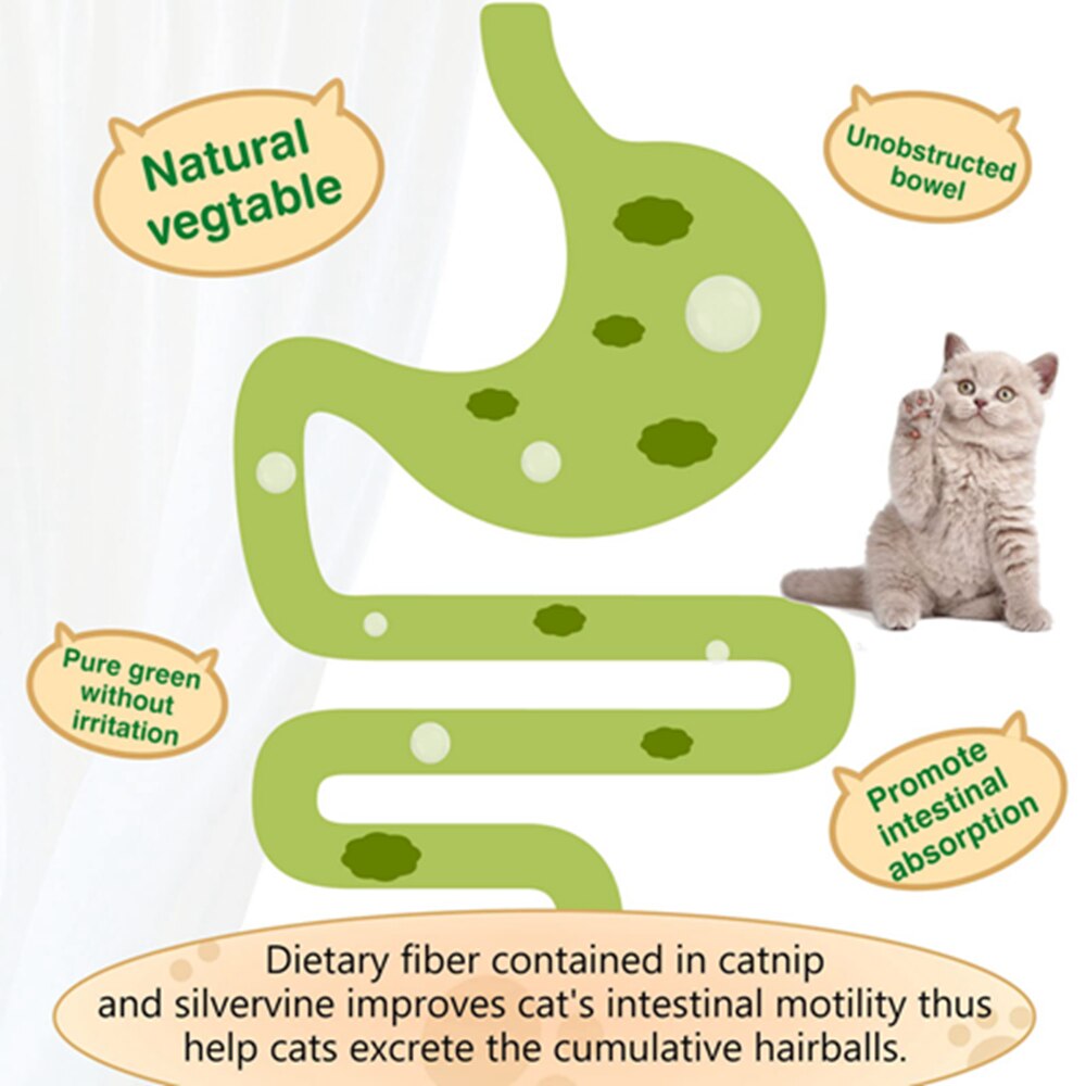 Catnip Ball Toys Edible Kitty Toys for Cats Lick Healthy