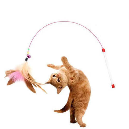 Interactive Cat Toys